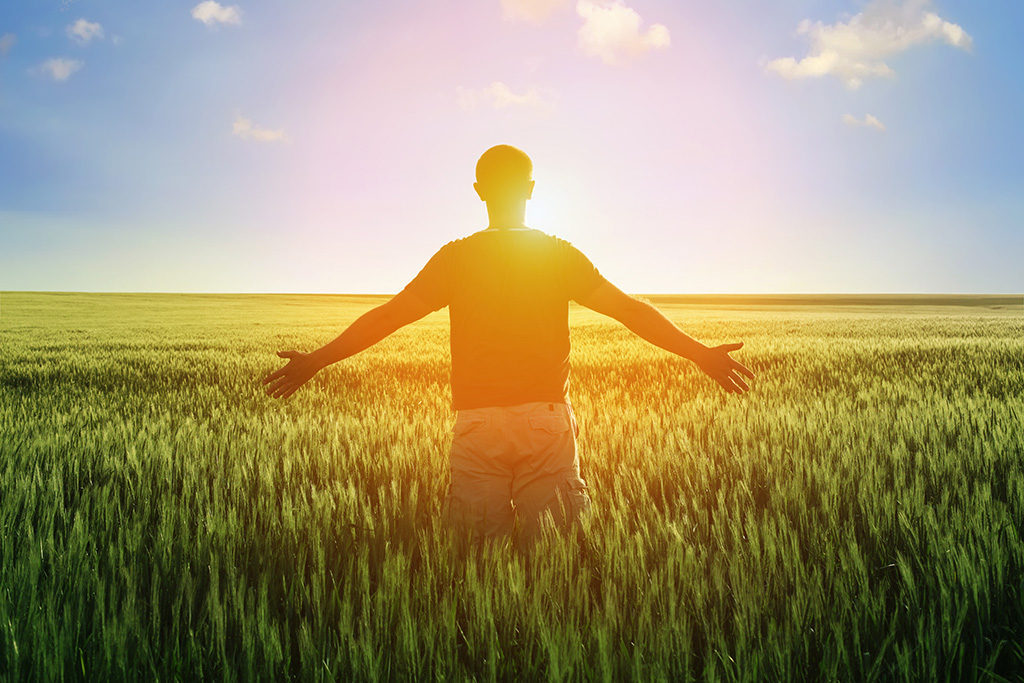 man in wheat field and sunlight